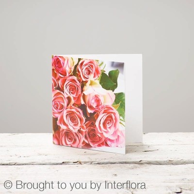 NEW Pink Rose Greeting Card