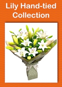 Lily Handtied Collection