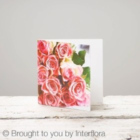 NEW Pink Rose Greeting Card